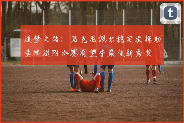 追梦之路：若克尼佩尔稳定发挥助黄蜂进附加赛有望夺最佳新秀奖