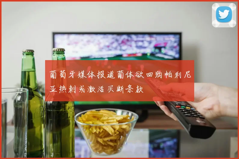 葡萄牙媒体报道葡体欲回购帕利尼亚热刺或激活买断条款