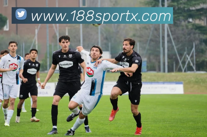 188bet主站APP 封面图