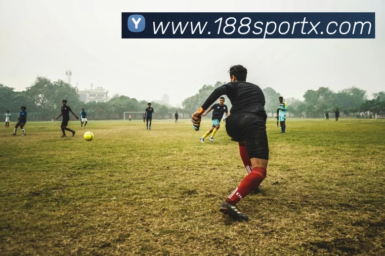 数据防护可视化